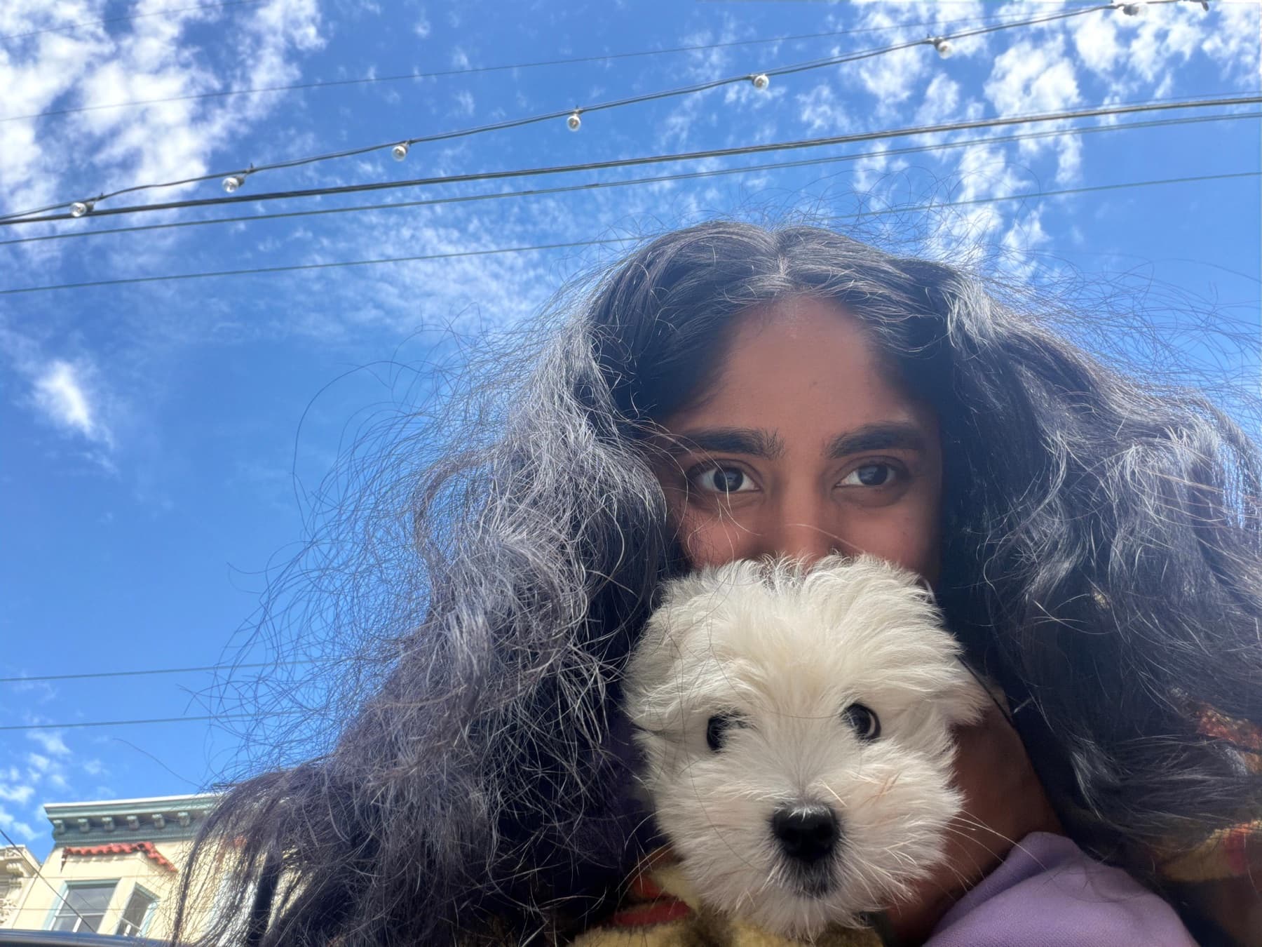 Coco Puff cuddling outside under a blue sky